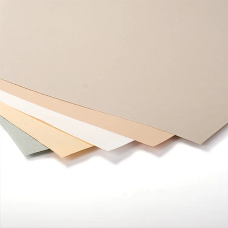 Canson  Ingres paper sheet - Black