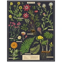 1,000-Piece Puzzle - "Herbarium"