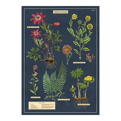 Papier décoratif - herbarium