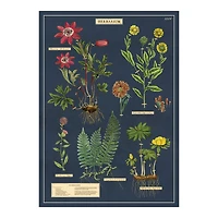 Papier décoratif - herbarium