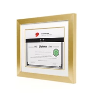 Double Mat Document Frame - Gold