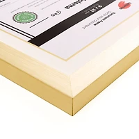 Double Mat Document Frame - Gold