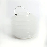 Expandable brush washer bucket