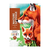 Nature sauvage : coloriages mystères - French Ed.