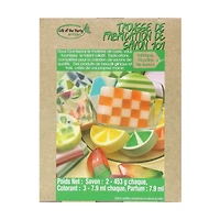 Soap making 101 kit