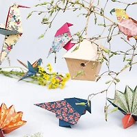 60-Sheet Origami Kit - Birds