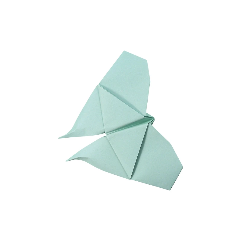 Coffret origami - insectes
