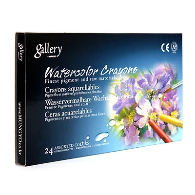 Mungyo 24 Watercolor Chalks Box