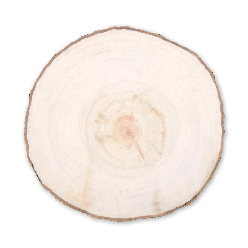 Tranche de bouleau naturel - 18-20 cm