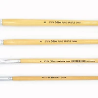 Bristle brushes, set of 4