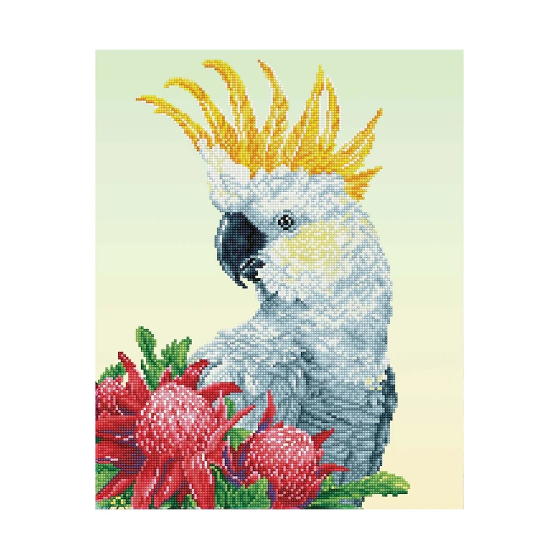 Diamond Dotz Kit - White Cockatoo & Warathas
