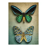 Diamond Dotz Kit - Antique Butterflies