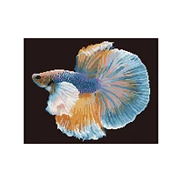 Kit créatif Diamond Dotz - poisson lumineux