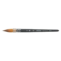 Pinceau Aqua Elite - plume no. 6