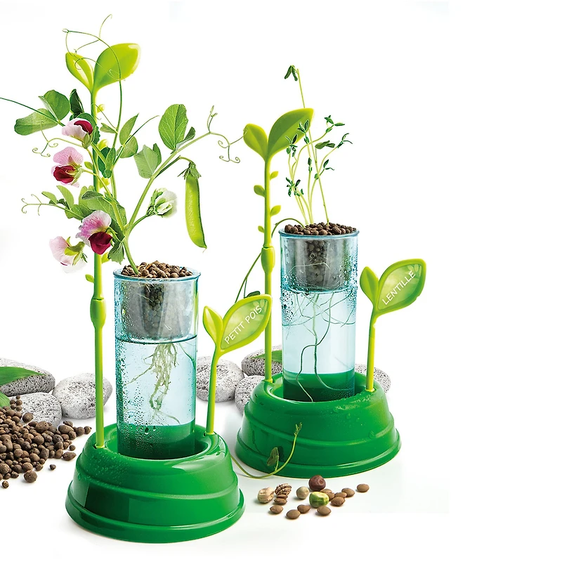 Botany & Hydroponics Science Kit - French Ed.
