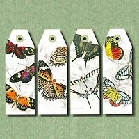 Livret de créations en papier : Histoire naturelle