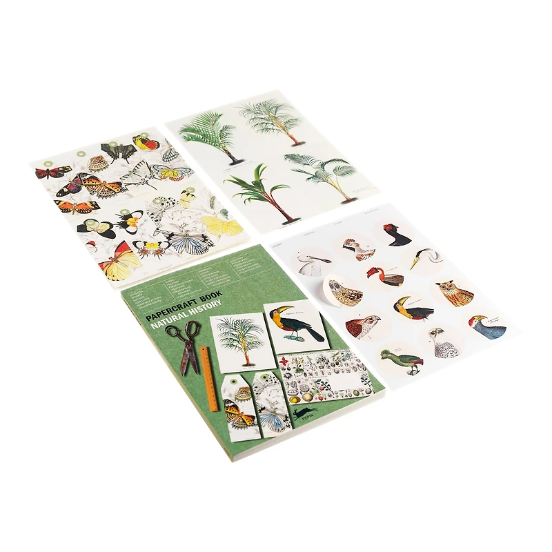 Papercraft Book: Natural History