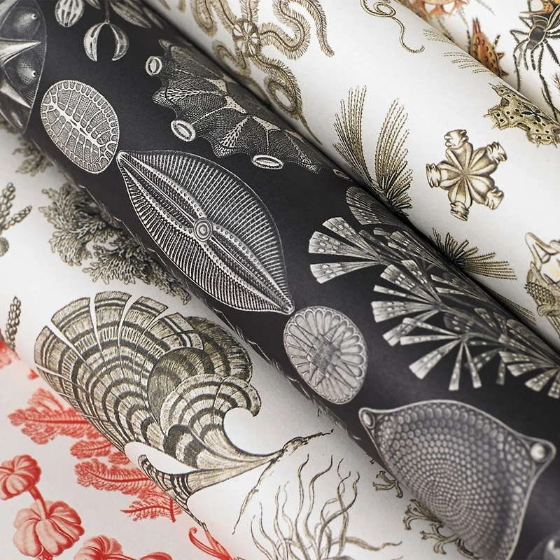 Gift & Creative Papers: Art Forms in Nature