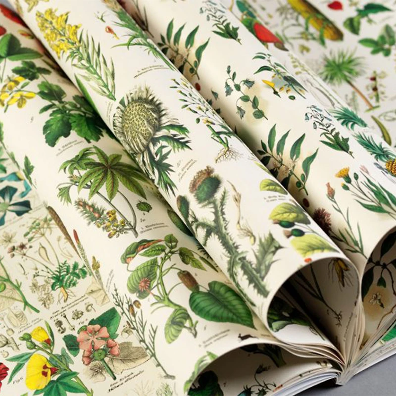 Gift & Creative Papers: Flora