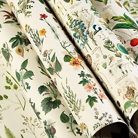 Gift & Creative Papers: Flora