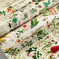Gift & Creative Papers: Flora