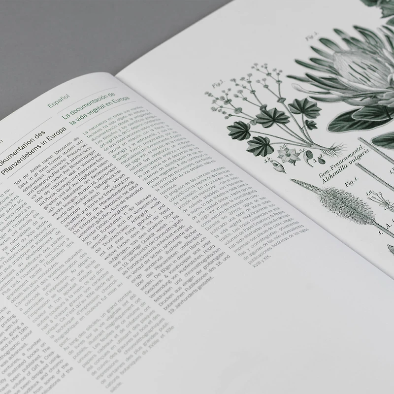 Gift & Creative Papers: Flora