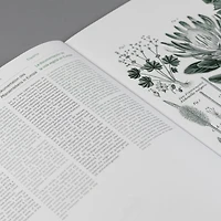 Gift & Creative Papers: Flora