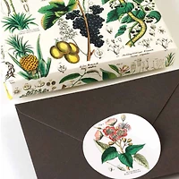 Étiquettes, autocollants & bandes : Flora