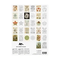 Artists' Colouring Book: Art Forms In Nature