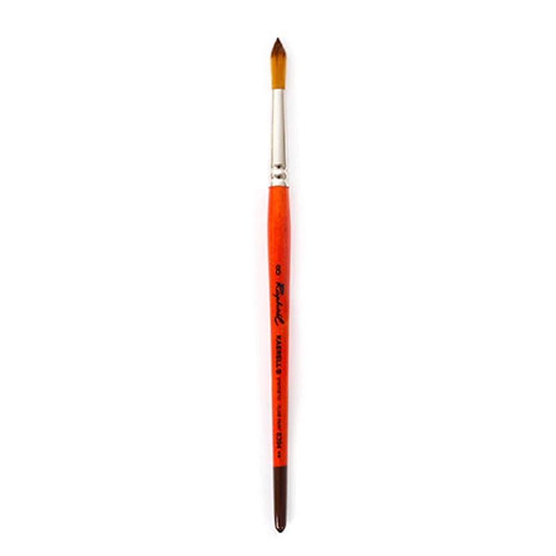 Kaërell S Orange Paintbrushes - Round