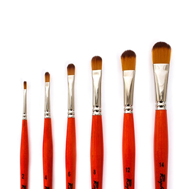 Kaërell S Orange Paintbrushes - Cat's Tongue