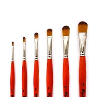 Kaërell S Orange Paintbrushes - Cat's Tongue