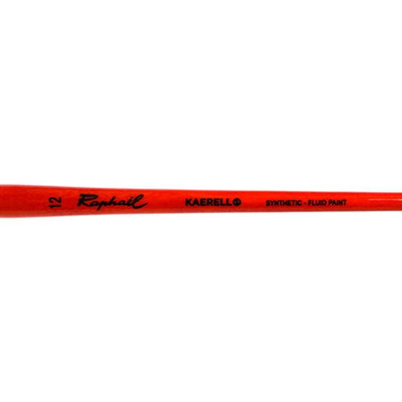 Kaërell S Orange Paintbrushes - Cat's Tongue