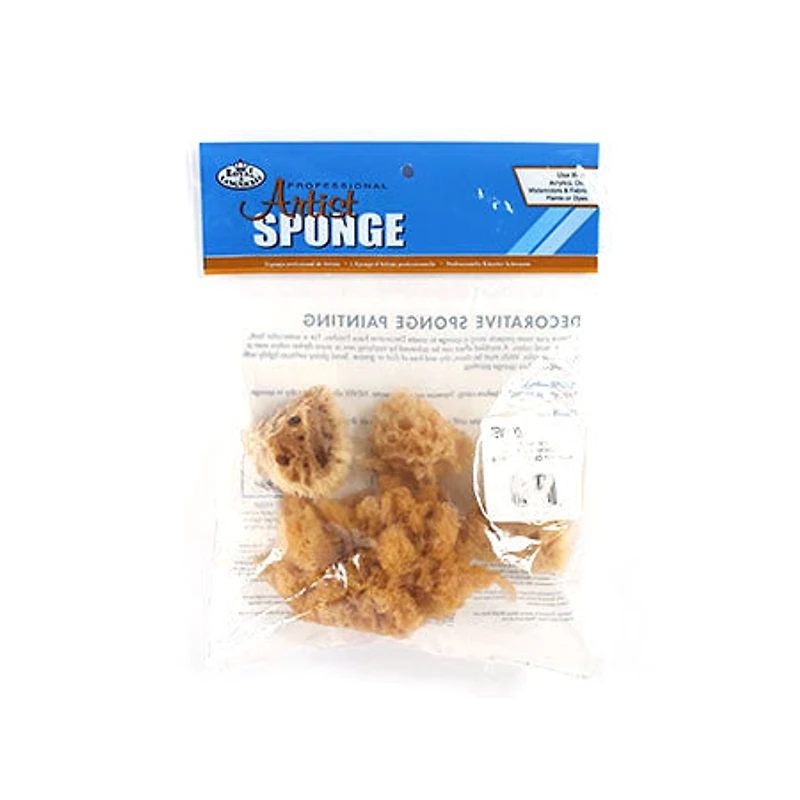 Ensemble de 4 éponges laineuses