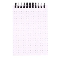 Classic Spiral Notebook