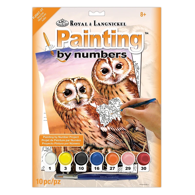 Peinture à numéros – Hiboux