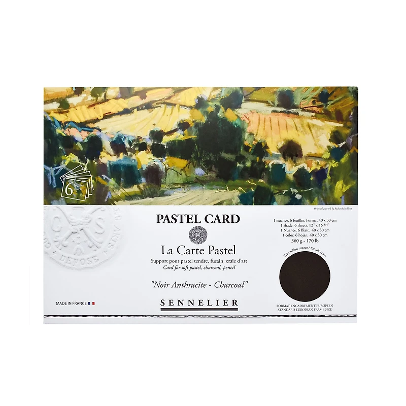 6-Pack Pastel Cards - Charcoal
