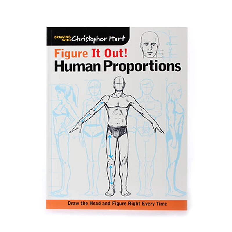Figure It Out! Human Proportions