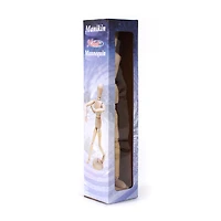 Mannequin female 12in