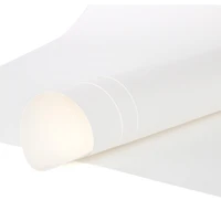 Yupo Watercolour Paper - White