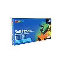 Mungyo Dry Pastels 12 colors