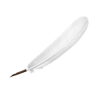 Plume d’oie – ivoire