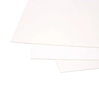 Illustration cardboard - 10 X 15 in