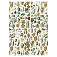 Étiquettes, autocollants & bandes : Natural History