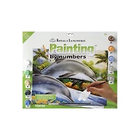 Junior Paint by Numbers – Dolphin Island, Junior