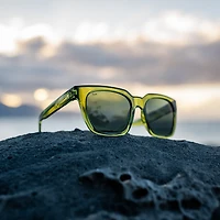 Dahlia - Sage Polarized