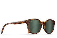 Sequoia - Tortoise Polarized
