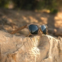 Classic - Canyon Polarized