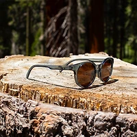 Sequoia - Dusk Polarized