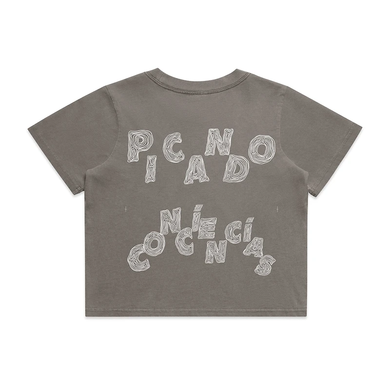 Cultura en Movimiento crop (gris)